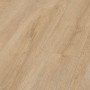 12mm Robusto 4V Premium Oak Light- 1.293M2 PK